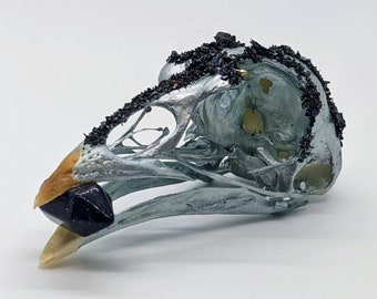 Carborundum Pheasant Skull