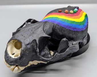 Rainbow Otter