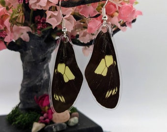 Doris Longwing Butterfly Earrings