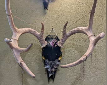 Crystalline Buck Skull