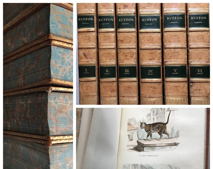 Featured listing image: Oeuvres Complètes de Buffon, 6 Volume Set, Color Plates, French Language, Leather Illustrated 1837-39 Nature