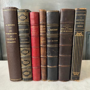 French Antique Book Collection, Laboulaye, Guy de Maupassant, 18-1900s, French Language