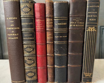 French Antique Book Collection, Laboulaye, Guy de Maupassant, 18-1900s, French Language