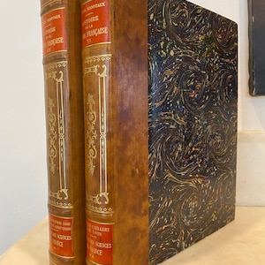 Op de afbeelding: Twee antieke, in leder gebonden boeken met gouden letters en marmermotieven op de omslag. De titels zijn "Histoire de la Revolution Francaise" en "Histoire de la Revolution Francaise".