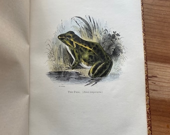 Science/ Natural History