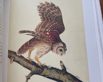 The John James Audubon Portfolio, Selection of Birds of America, Edition De La Main Fleurie, 2004