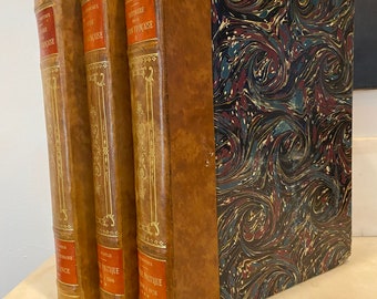 Large / Near Folio 1924 French Leather Bound Art Books, Histoire de la Nation DFrancaise, Politiques, Hanotaux