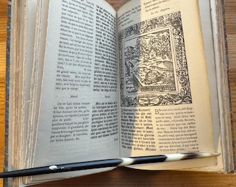 Reynard the Fox, 1566 Edition Reprint, 1924, French Limited Edition, Parchment Binding