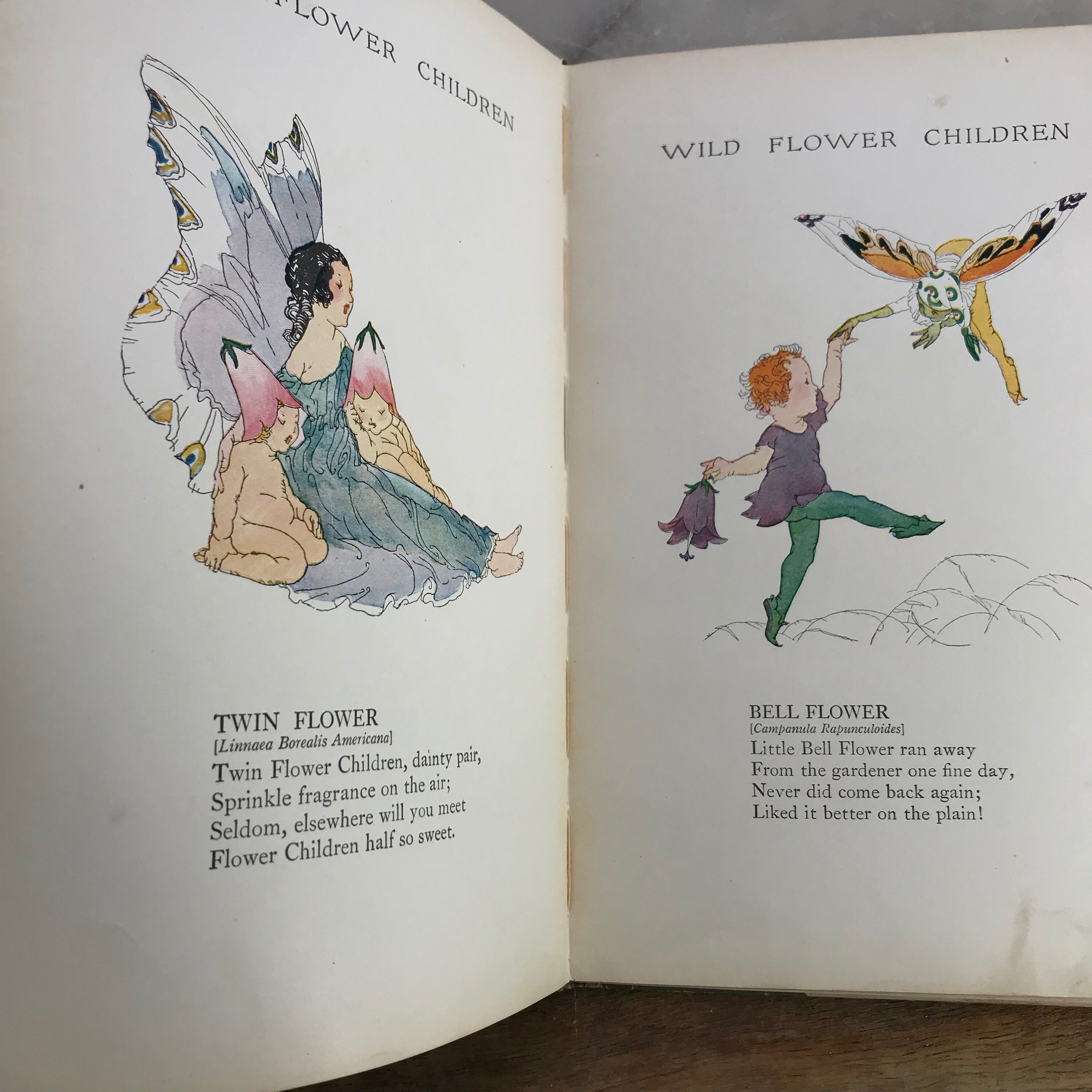 Wild Flower Children, The Little Playmates of the Fairies, Elizabeth