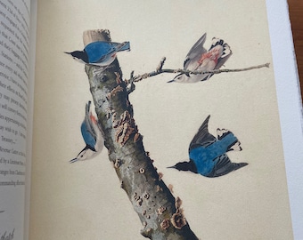 The John James Audubon Portfolio, Selection of Birds of America, Edition De La Main Fleurie, 2004