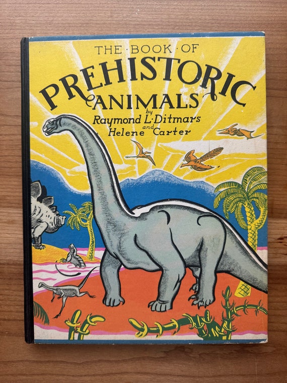 希少　洋書　1942年　古書　Animal Life Of The 希少 洋書 1942年 古書 Animal Life Of The 希少 洋書 1942年