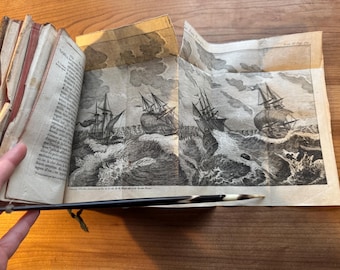 Spectacle de la Nature: or Nature Display'd Being Discourses of Natural History, Copper Plates, 1741, Vol 3