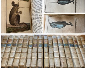 Il Buffon Per L'adolenscenza, Italian, N. Gervasi, 1808 17 volume set, Vellum Bound, Illustrated