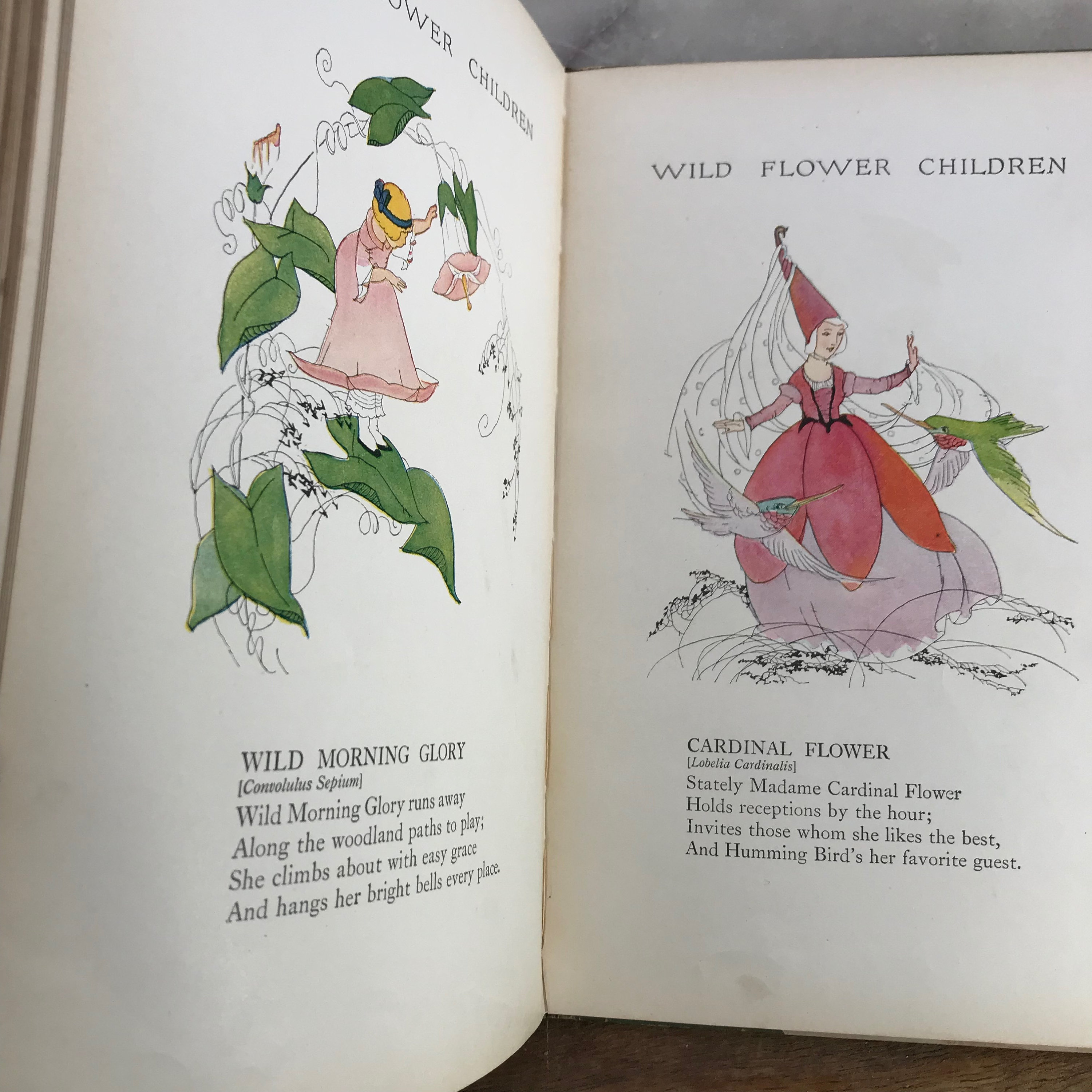 Wild Flower Children, The Little Playmates of the Fairies, Elizabeth