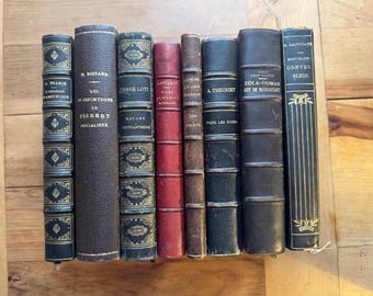 8 Volume French Antique Book Collection, Laboulaye, Guy de Maupassant, Loti, Boitard, 18-1900s