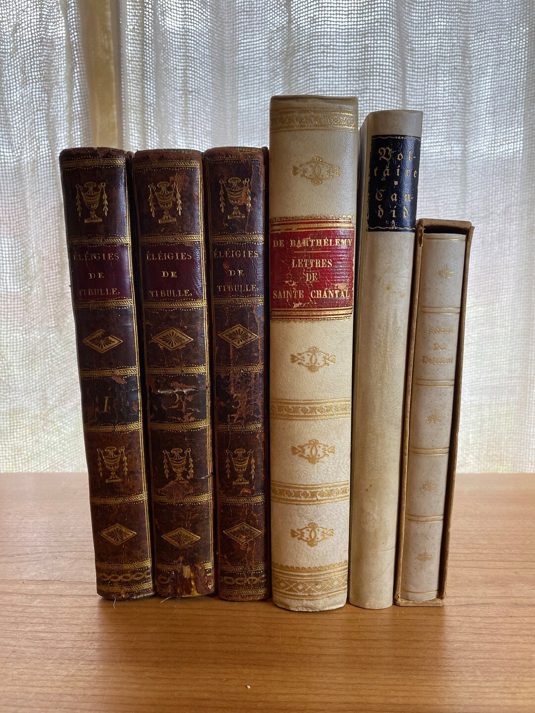 Set of 6 Antique Leather and Parchment Books Illustrated Etsy