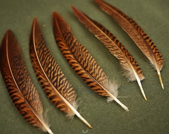 King Pheasant Feather Decoration Natural Pheasant Feather Golden Brown Feather Decorations & Ornaments Jewelry Feathers Feather Accessories
