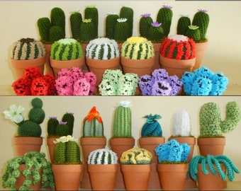 Crocheted CACTUS - Clay & Plastic Pots or Crocheted bottoms