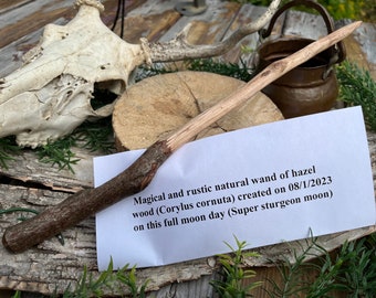 Natural hazelwood magic wand (Corylus cornuta) created on 08/1/2023 on this full moon day (sturgeon supermoon)