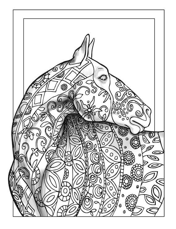 printable coloring pages adult animal coloring book digital etsy india