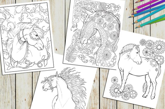 Download Adult Coloring Book Set Bundle Adult Coloring Pages Pack Etsy