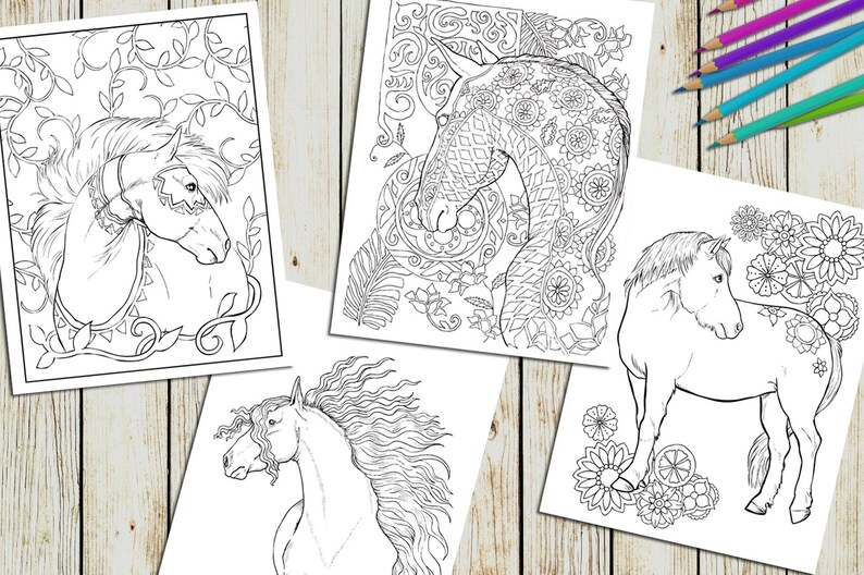 Download Adult Coloring Book Set Bundle Adult Coloring Pages Pack | Etsy