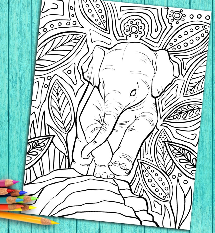 Download Animal Color Book Adult Coloring Page From Coloring Book For Etsy