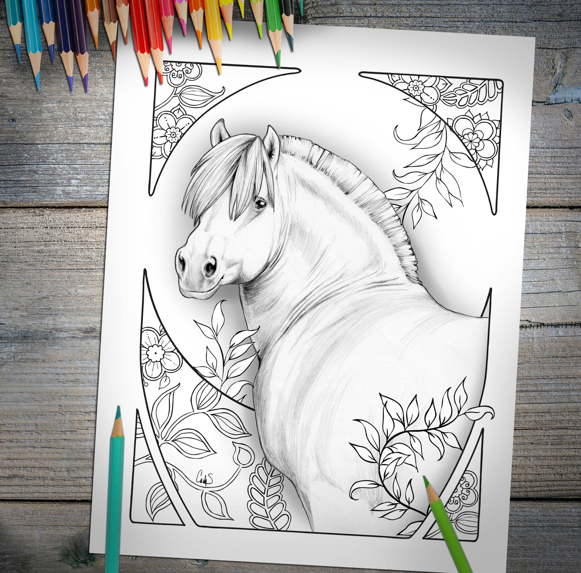 Download Adult Coloring Book Digital Download Pdf Hand Drawn Horse Etsy
