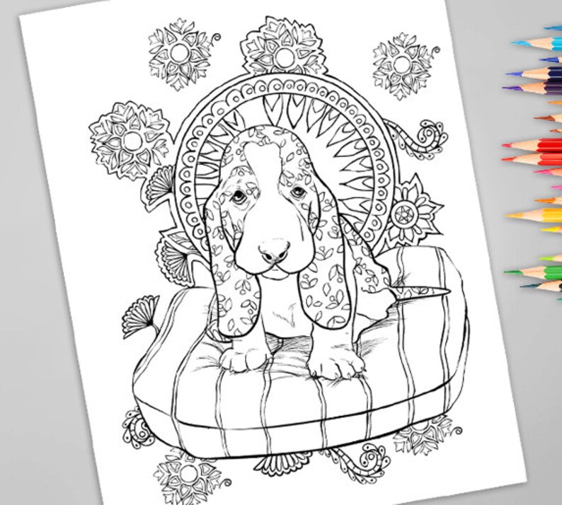 Download Adult Coloring Book Set Bundle Adult Coloring Pages Pack Etsy