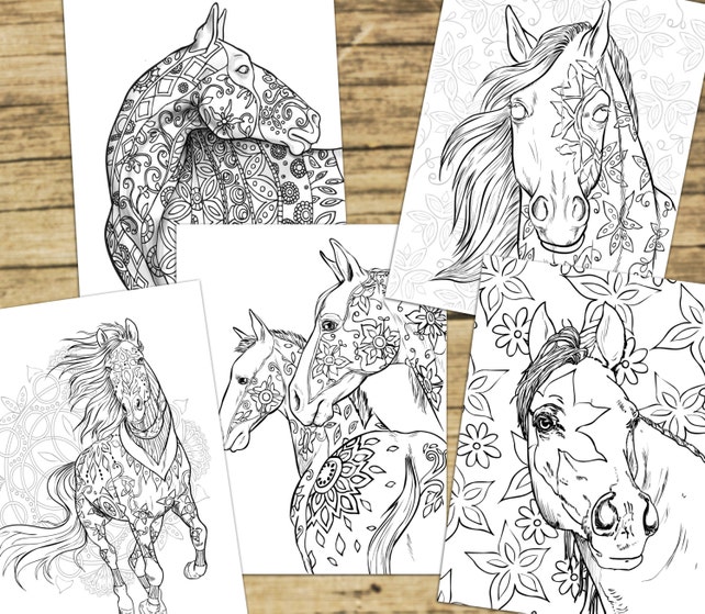 Adult Coloring Book Pages Horses Equine Art