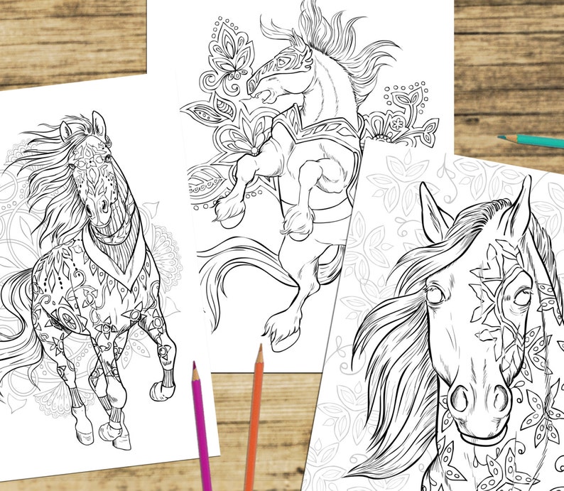Download Adult Coloring Book Horses 40 Beautifully Drawn Coloring Etsy