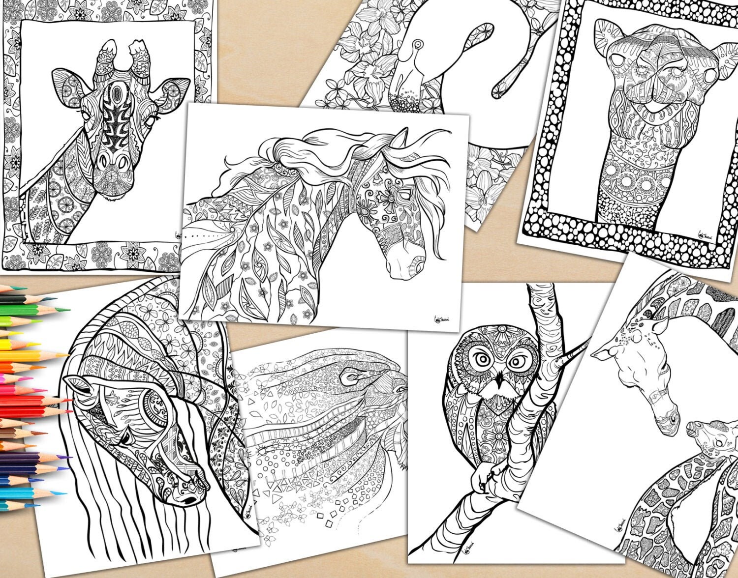 Animal Color Book Adult Coloring Book 18 Colouring Pages for - Etsy