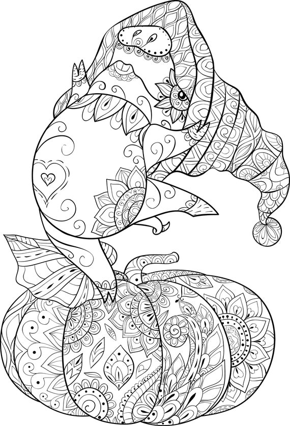 Magic Unicorn For Adult Anti Stress Coloring Page With High Details