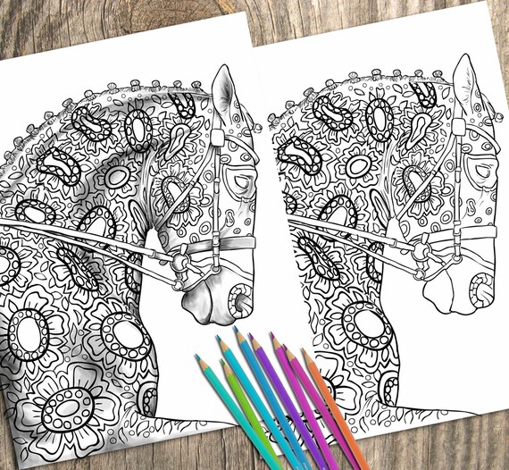 42+ Coloring Book For Adults Horse Best HD