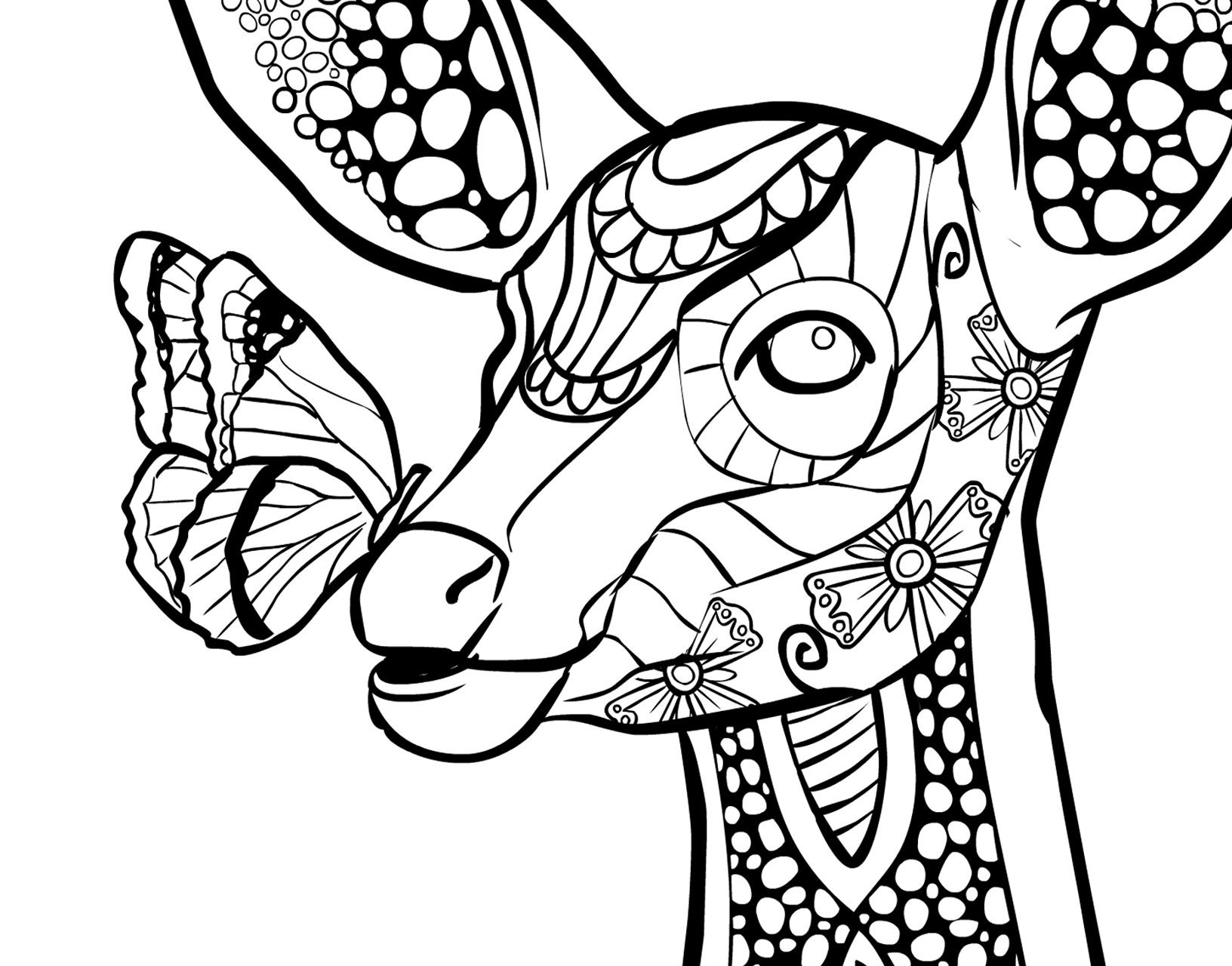 Animal Color Book Adult Coloring Book 20 Colouring Pages For ...