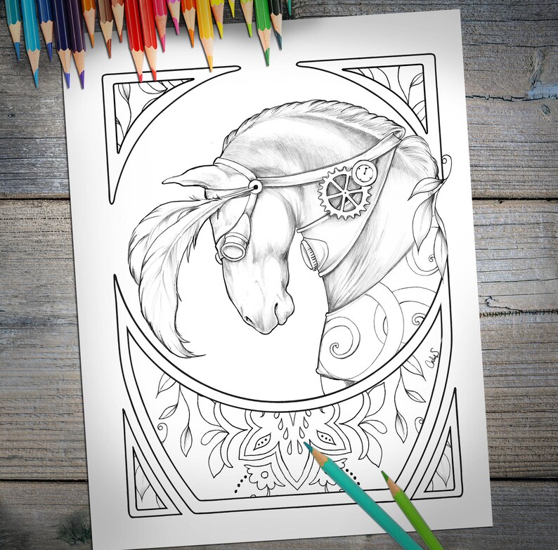 NEW Horse Lovers Adult Coloring Book Adult Coloring Pages  Etsy