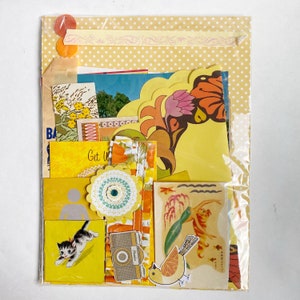 May include: A collection of assorted paper ephemera and craft supplies in a clear plastic sleeve. The assortment includes yellow polka dot paper, a vintage-style kitten illustration, a mermaid graphic, a camera cutout, and a decorative floral medallion.
