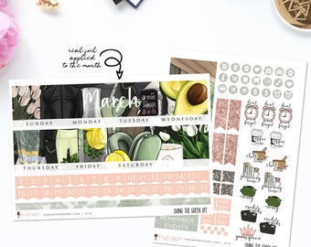 Living The Green Life  - Monthly Sticker Kit, ECLP Monthly Kit, ECPP Monthly Kit, HP Classic Monthly Kit, Happy Planner Mini