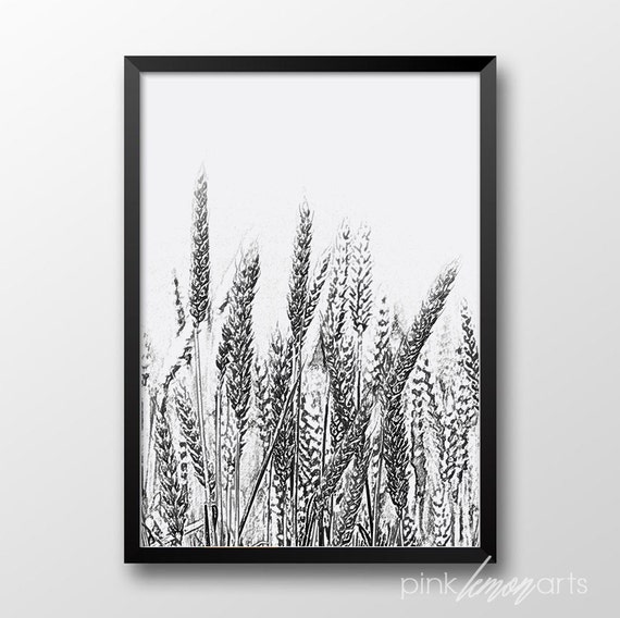 Hand drawn wheat print, Printable wheat field, Black and white handdrawn art, Home decor 255