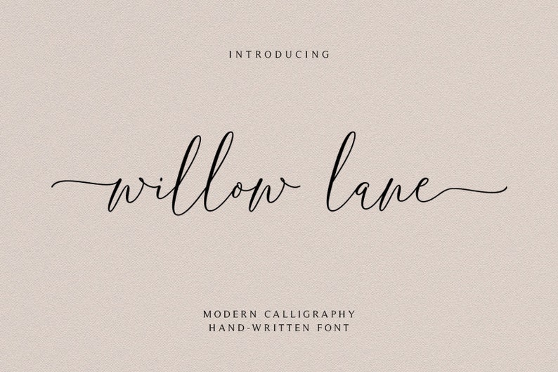 Calligraphy font, Digital font, Font download, Handwritten font, Feminine font, Cricut,Script Font, Wedding font, Modern font, otp font #012 