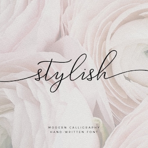 Calligraphy font, Digital font, Font download, Handwritten font, Cricut, Script Font, Wedding font, Modern font, otp font #025
