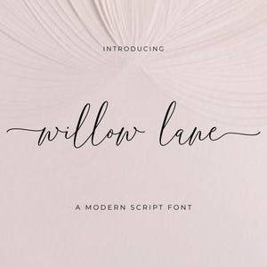Calligraphy font, Long lines font, Handwritten font, Script Font, Logo font, Modern font, Wedding font, Instant download font #086