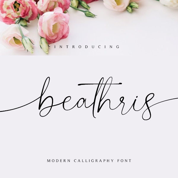 Modern Handwritten Script Font, Font download, Modern Calligraphy, Digital font, Wedding Font, Cricut font, Elegant Font Bestseller #053