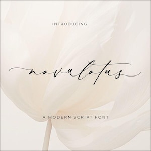 Puede incluir: Un fondo blanco con el texto "Introducing" sobre el texto "nova lotus" en una fuente de letra cursiva negra. Debajo del texto está la frase "A Modern Script Font".