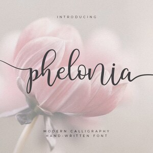 Digital font, Font download, Calligraphy font, Handwritten font, Script Font, Wedding font, Modern font, Watercolor font, Brush font, Fonts