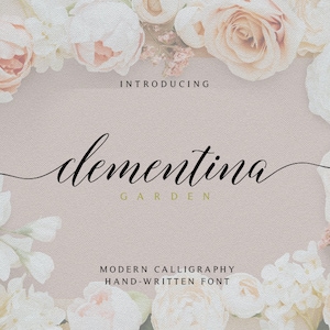 Digital font, Font download, Calligraphy font, Handwritten font, Script Font, Wedding font, Modern font, Brush font. Instant download #010
