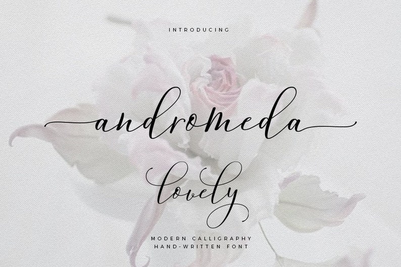 Calligraphy font, Font download, Wedding font, Modern font, Swirls font, Hand-written font, Digital font, Script Font, Instant download 014 image 1