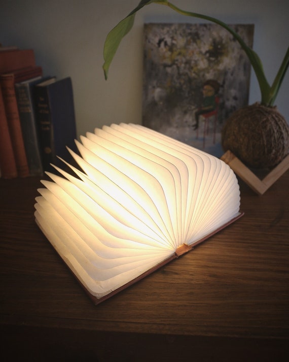 battery operated book light