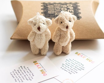 ハグギフトをお届けします：ぬいぐるみクマと詩のカード、ポケットハグの記念品