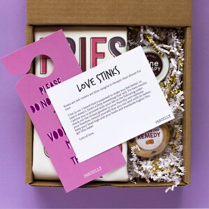 Breakup Gift Box Divorce Care Package Love Stinks Gift Fries Over Guys Funny Breakup Gift Send A Gift Self Care Kit image 2